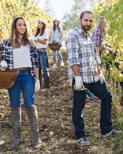 The most important facts in brief - harvest worker insurance