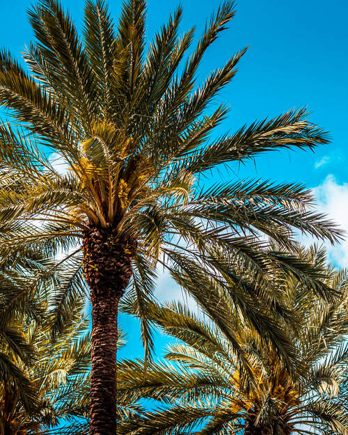 Competence that convinces - Bernhard Reiseversicherungsmakler