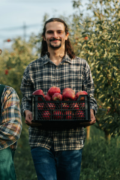 Costs of harvest worker insurance